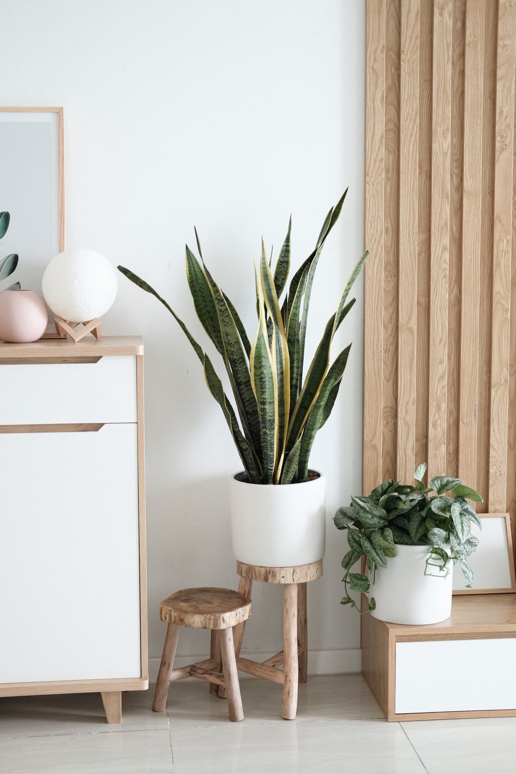 idee-soggiorno-moderno-piante