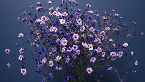 Blu profondo: come arredare con carattere e armonia